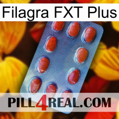 Filagra FXT Plus 06